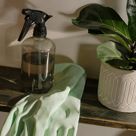 Cleaning items next to a plant.